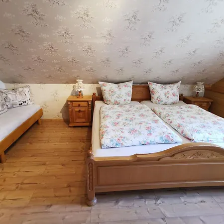 Altes Forsthaus شقة بودنمايس
