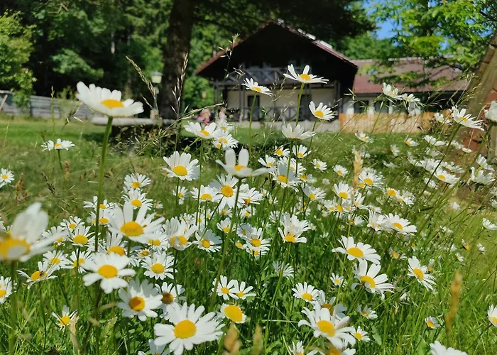 Altes Forsthaus